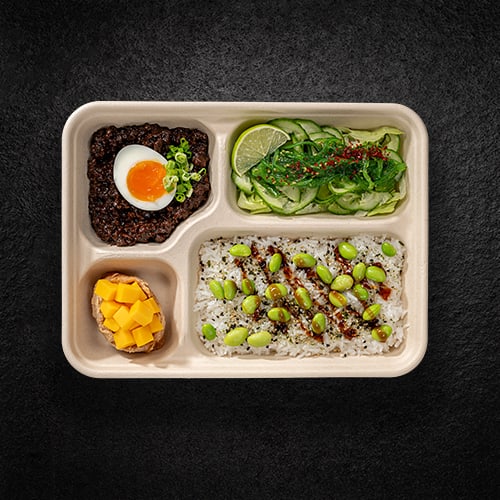 Gyudon Beef Bento