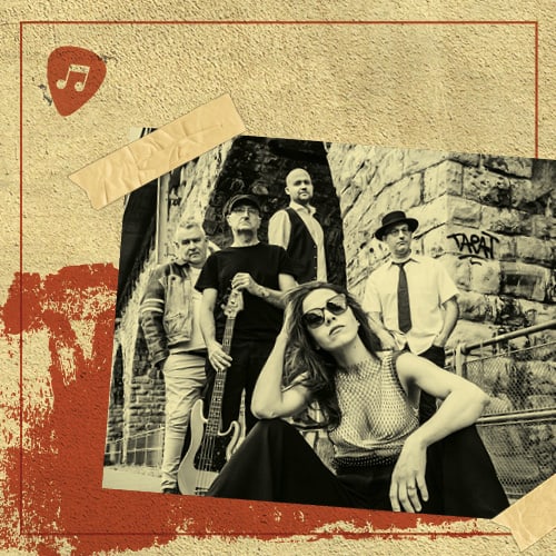 Auftritt der Band: WhiteNoise